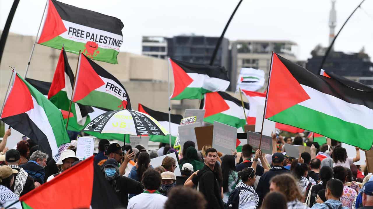 Pro-Palestine protest